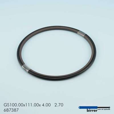 Gleitring GS -1  670818