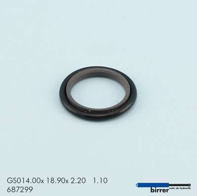 Gleitring GS -1  670146