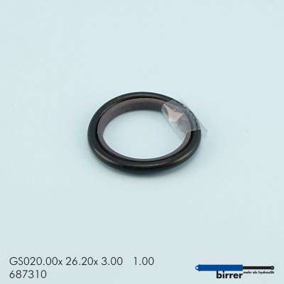 Gleitring GS -1  670370