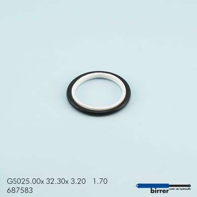 Gleitring GSS-6  670461