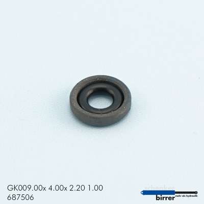 Gleitring GK -1  670134