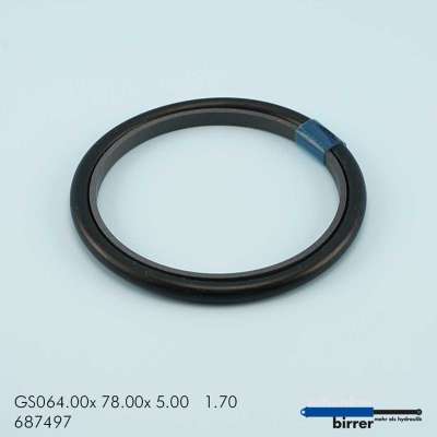 Gleitring GS -1  671243