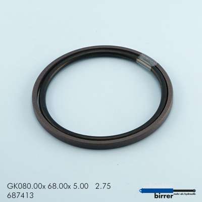 Gleitring GK -1  670930