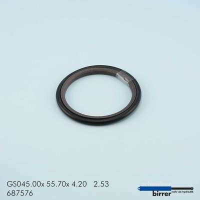 Gleitring GS -1  670772