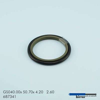 Gleitring GS -1  670766