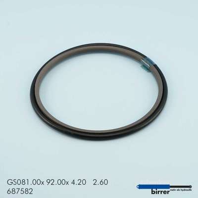 Gleitring GS -1  670808