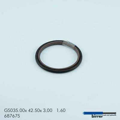 Gleitring GSS-2  670467