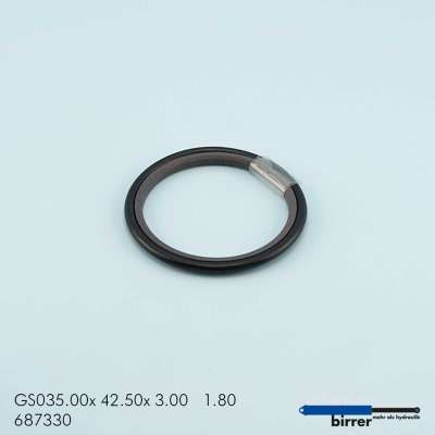 Gleitring GS -1  670386