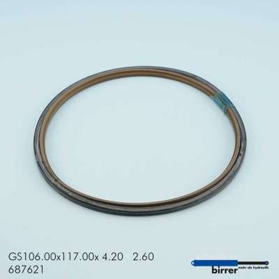 Gleitring GSS-2  676084